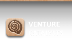 Venture Catalysts